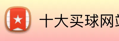 十大买球网站 logo